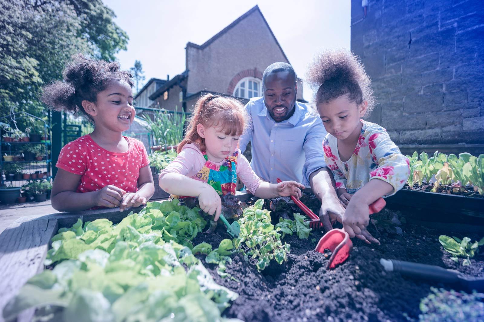 Adult and three children gardening together in a community garden, planting vegetables on a sunny day.