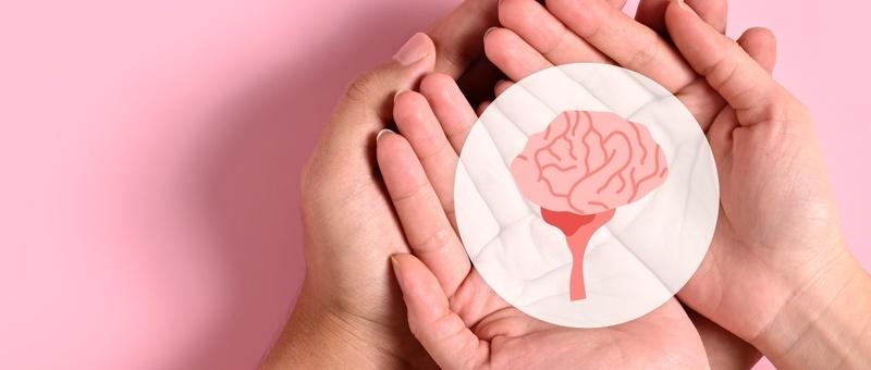 Human hands holding pink circular illustration of a brain on white, against pink background.