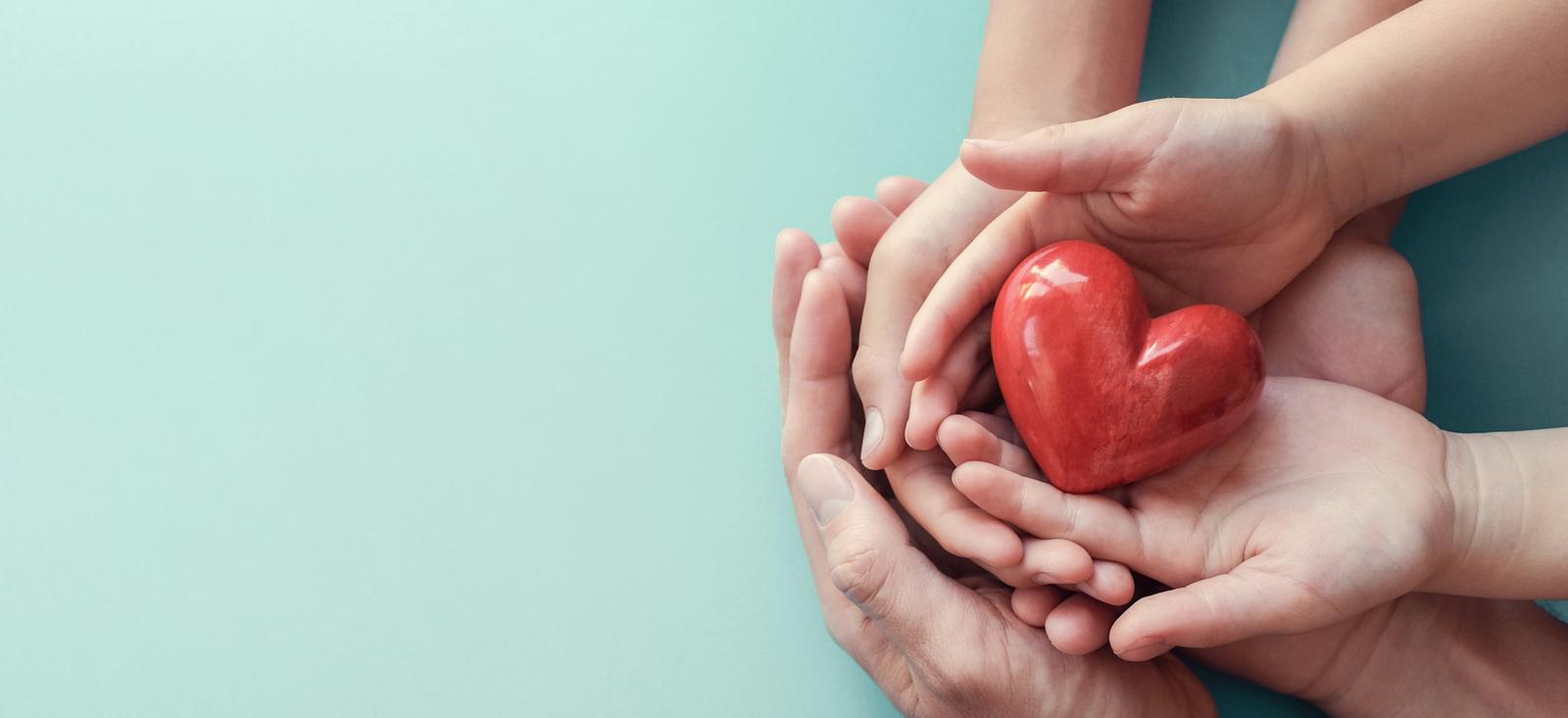 Heart and blood videos