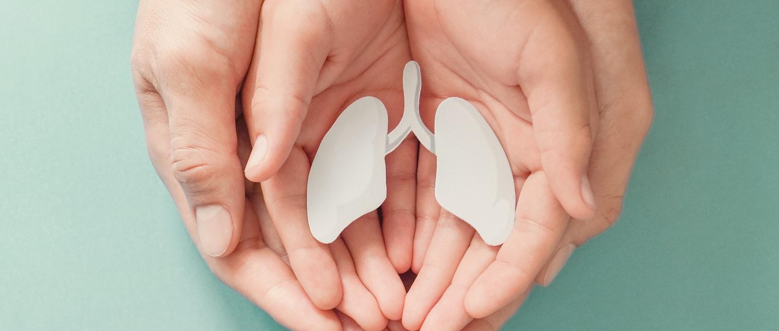 Chest and lungs videos