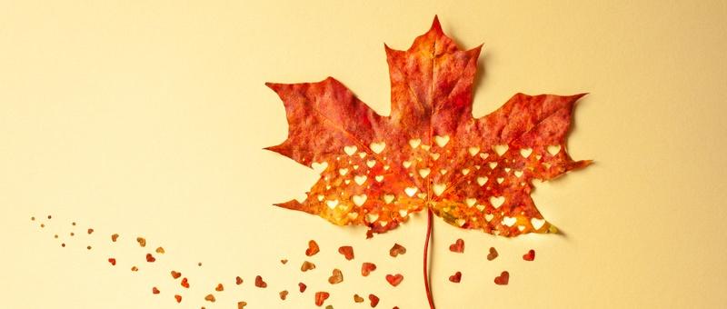 Preparing for the loss of a loved one: how to cope with anticipatory grief