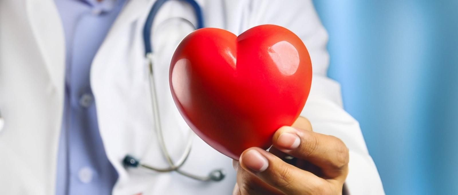 Medicine doctor holding red heart shape in hand.