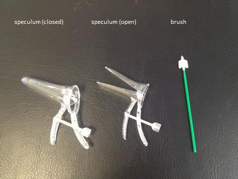 Vaginal speculum and cervical brush for cervical screening
