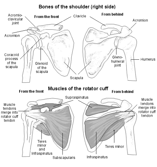 shoulder pain