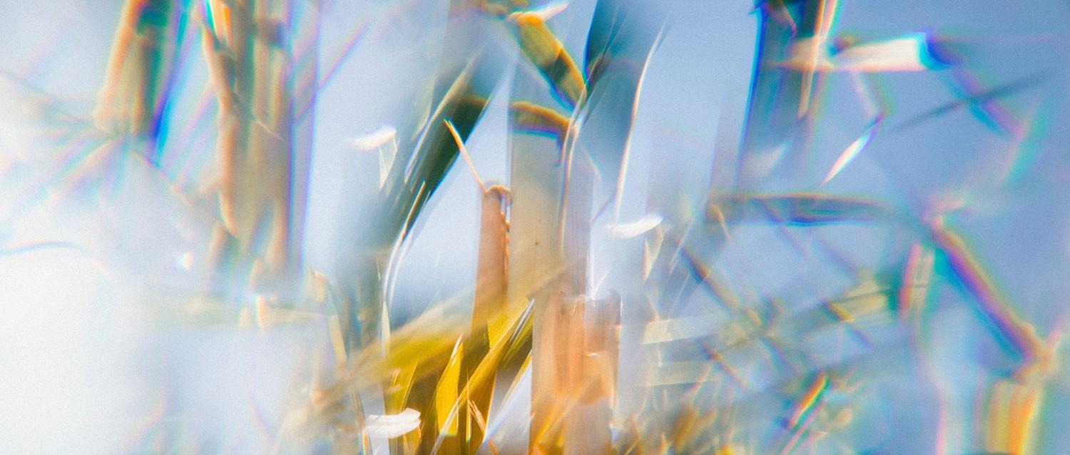 What to do when someone has an epileptic seizure