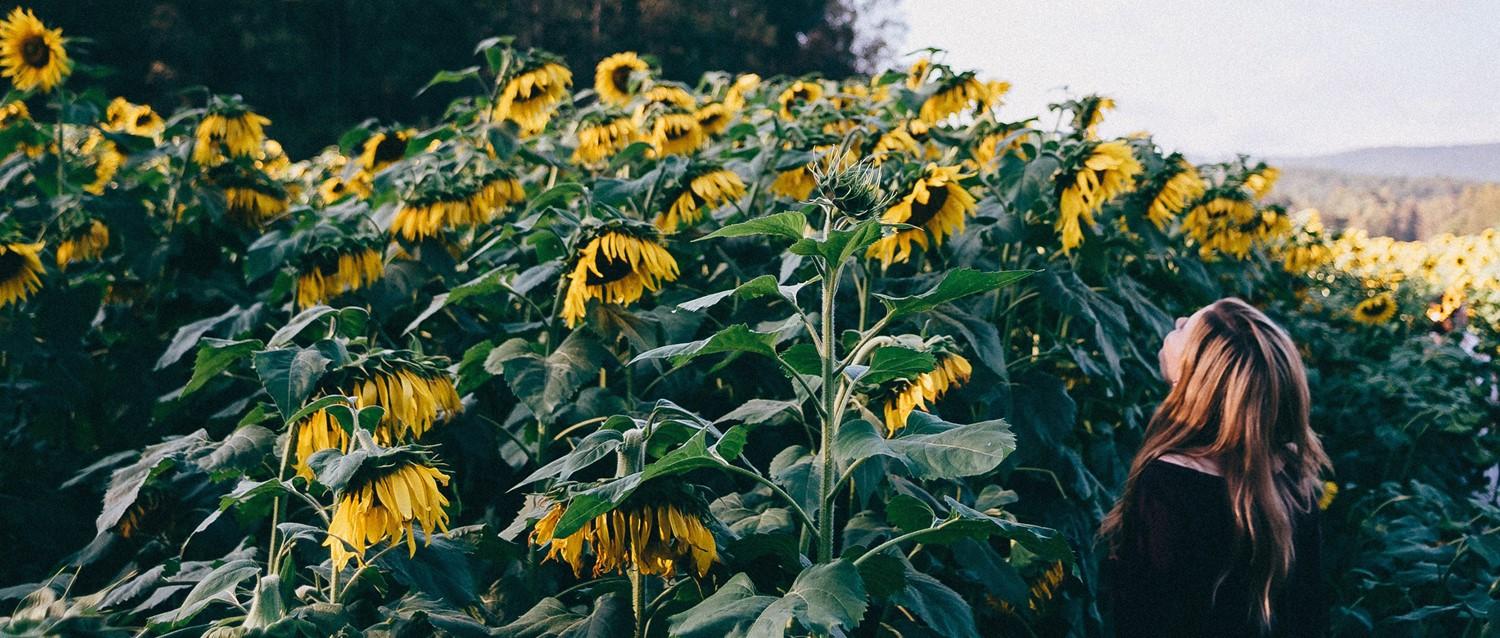 daily requirement of vitamin d