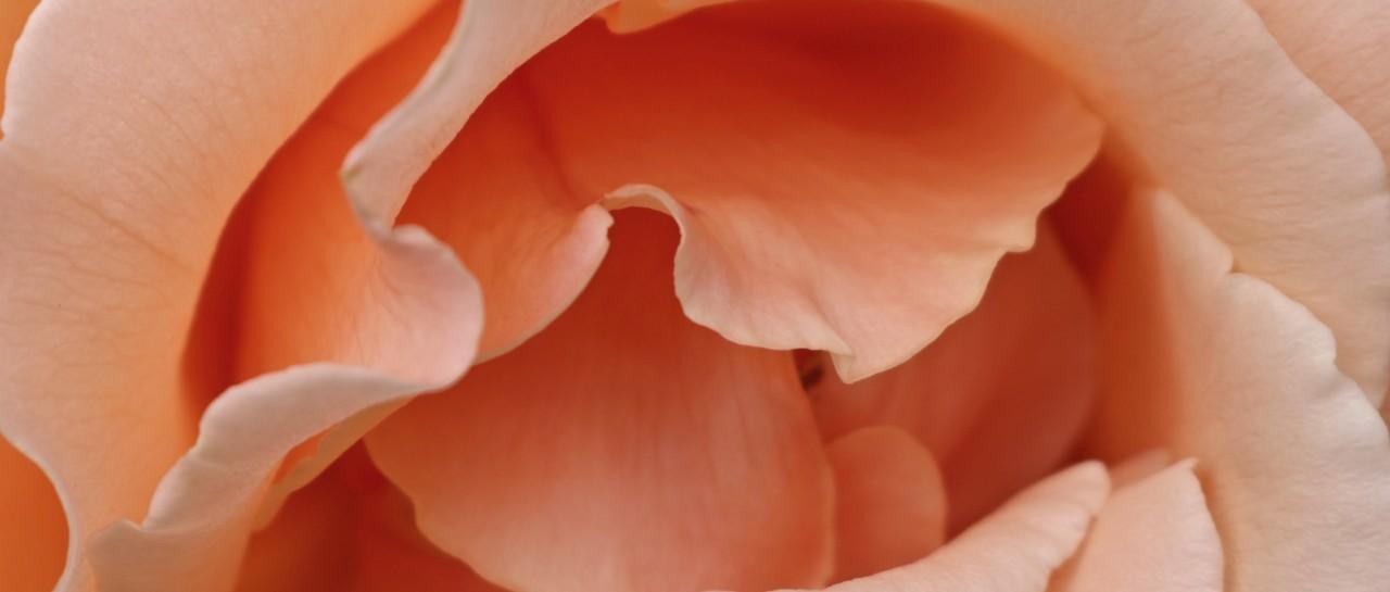 How to talk to your doctor about your vagina