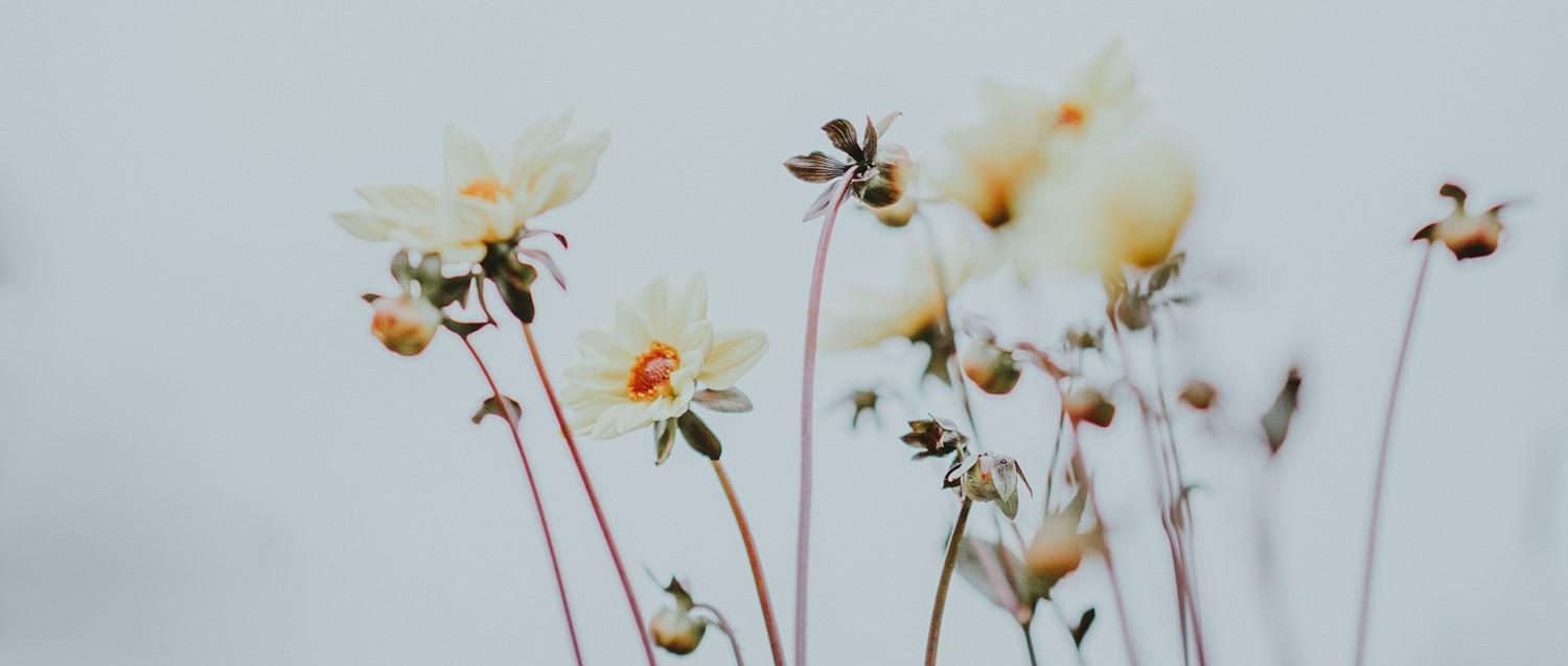 Can shaking exercises help PTSD?