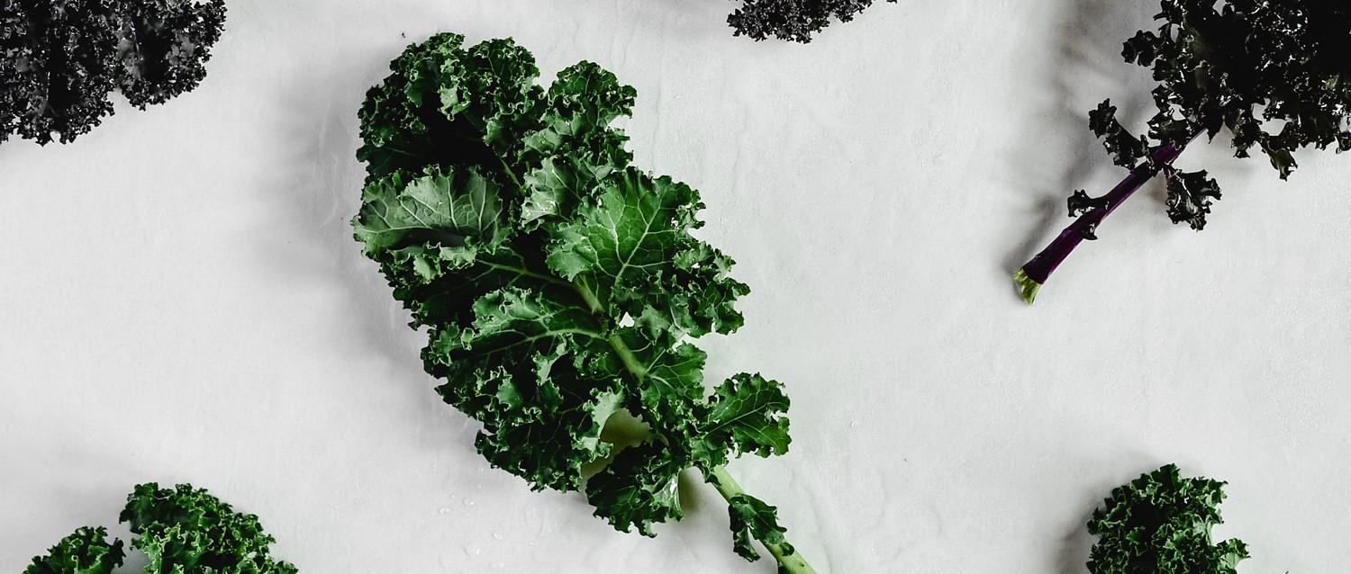 Can a plant-based diet improve your migraines?