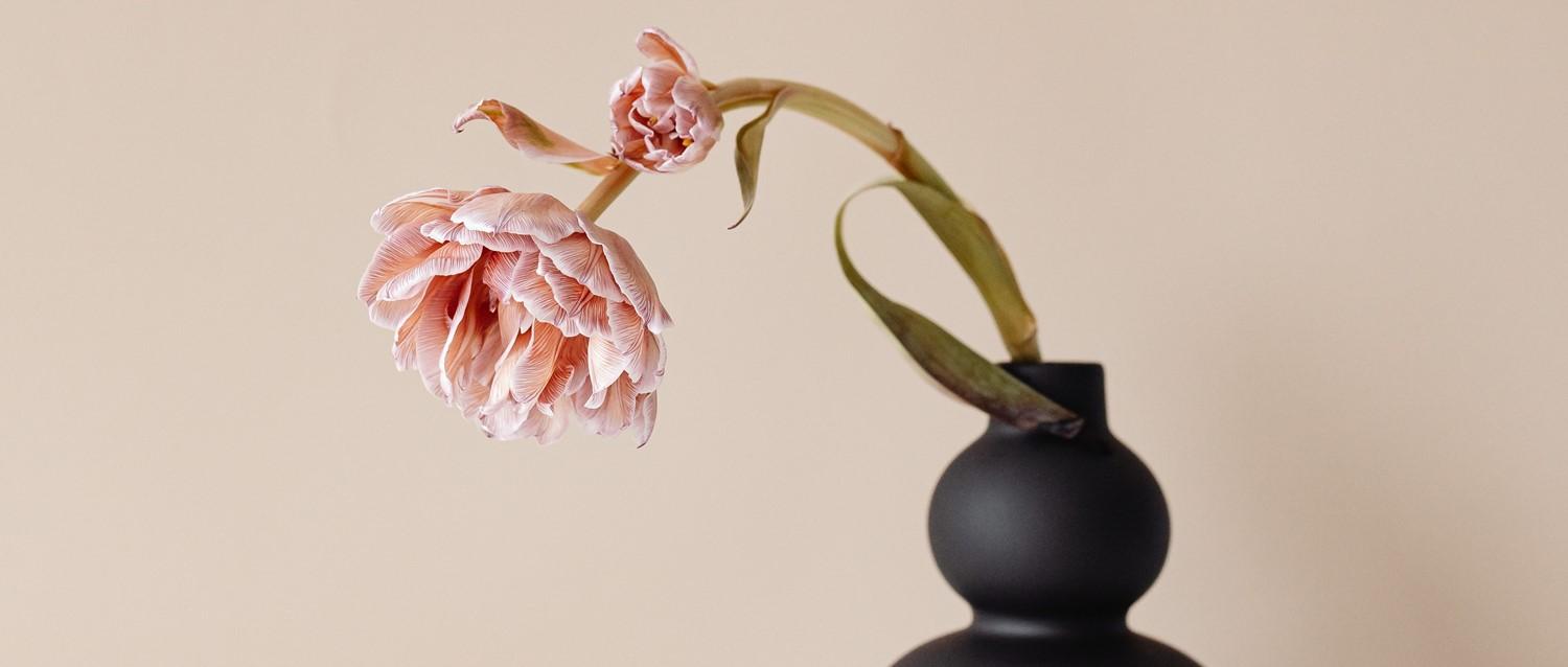 Less survivable cancers are more likely to have late diagnoses