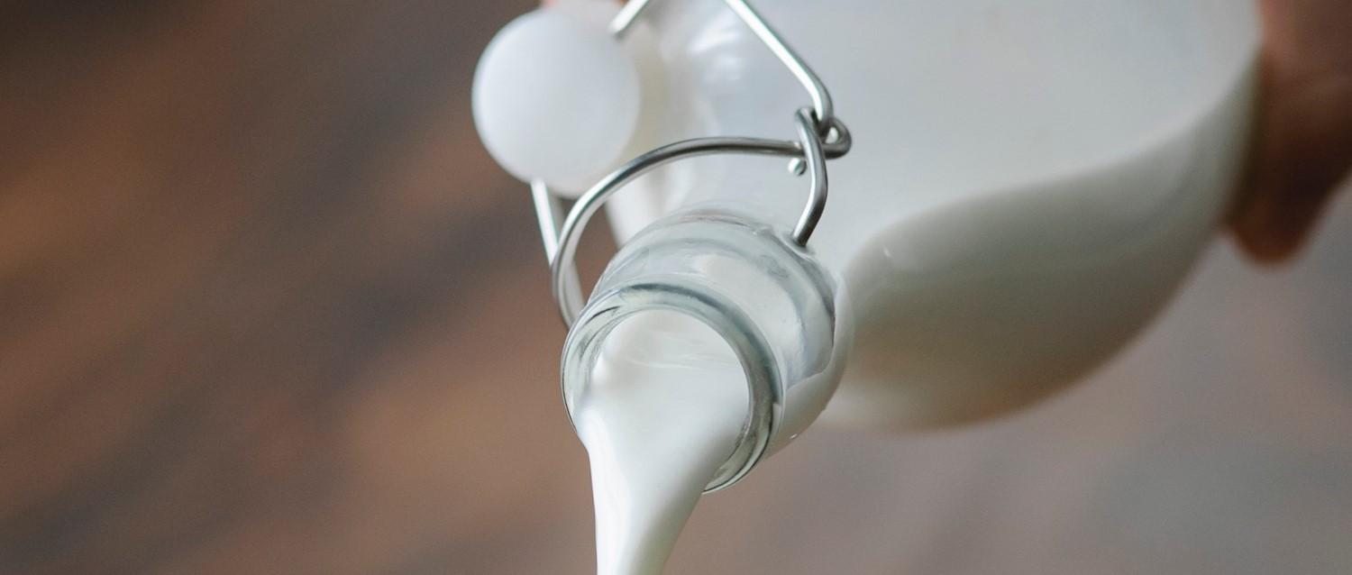 Cow's milk allergy: What is the milk ladder in children?