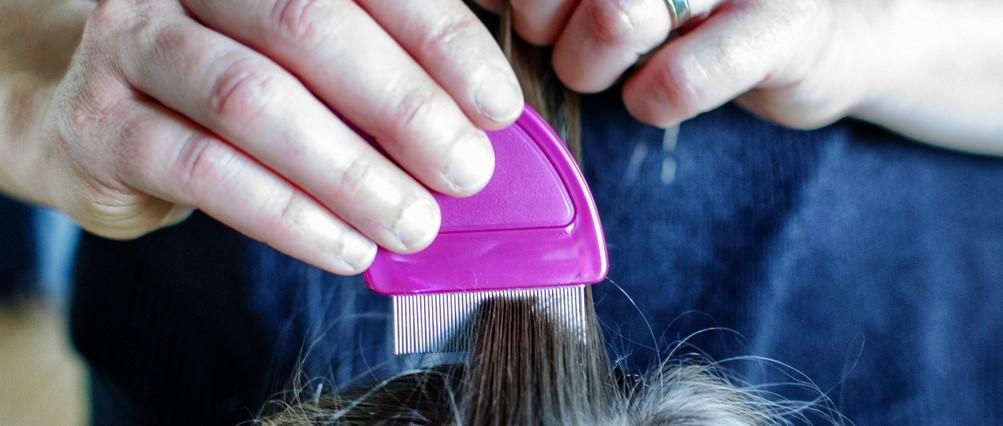 Back to school: how to check your child for head lice and nits
